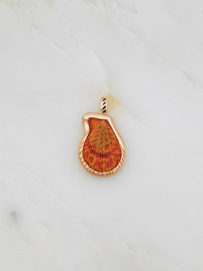 Dezso fine jewelry One-of-a-Kind Natural Clam Charm