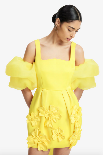 Person wearing Leo Lin Piper Appliqué Mini Dress & Cape Set Sunshine Yellow
