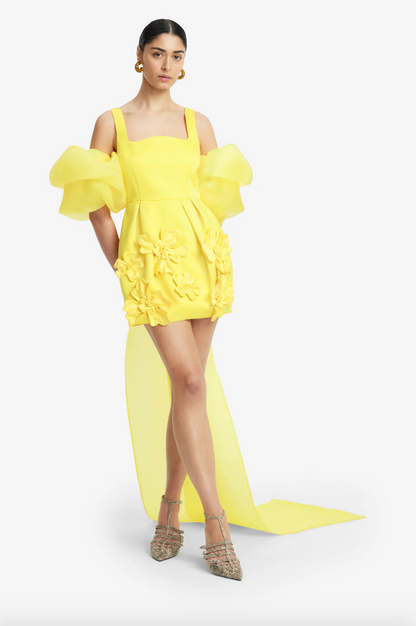 Person wearing Leo Lin Piper Appliqué Mini Dress & Cape Set Sunshine Yellow