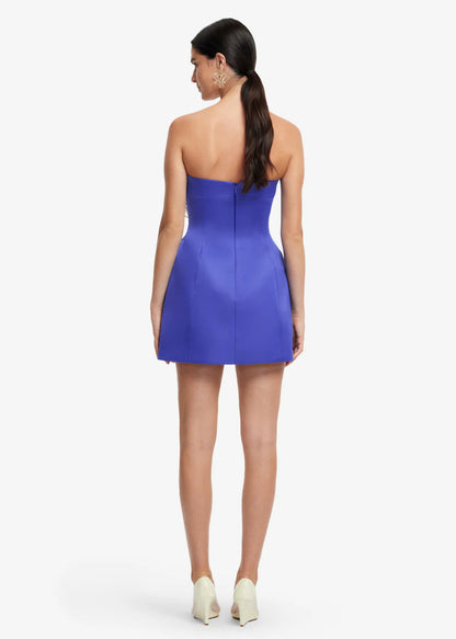 Person wearing Leo Lin Rosario Appliqué Floral Bustier Mini Dress