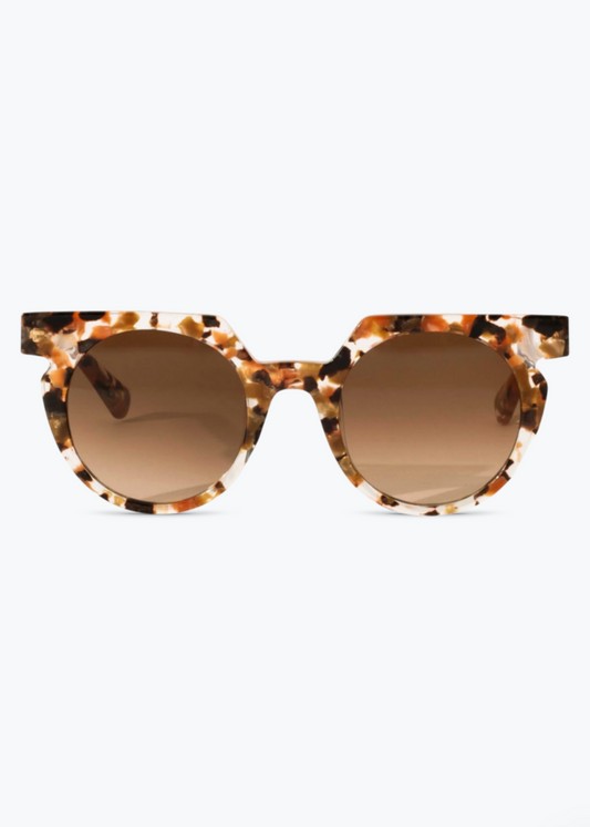 Sardine Sunglasses The Aster in Terra Fawna Toirtoise Shell