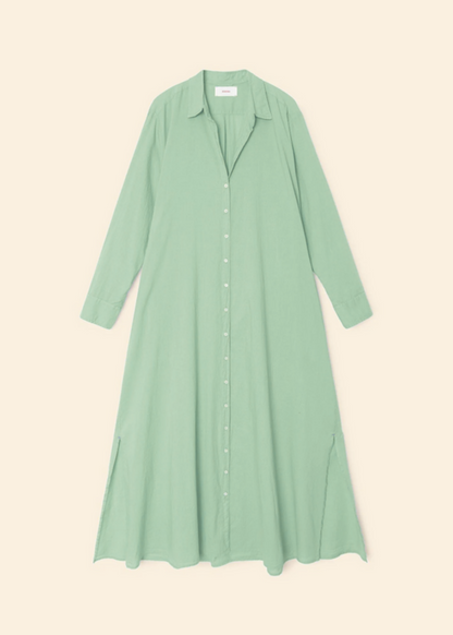 Xirena womens cotton Boden Dress in Sage Leaf