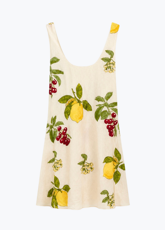 alix of bohemia womens printed Addie Four Fruit Silk Dress