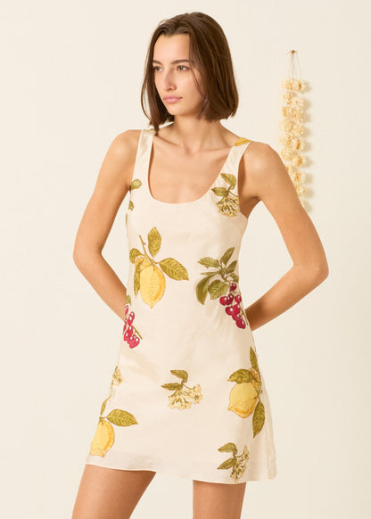 person wearing alix of bohemia womens silk printed Addie Four Fruit Silk Dress