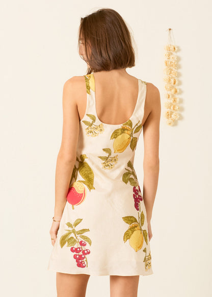 person wearing alix of bohemia womens silk printed Addie Four Fruit Silk Dress