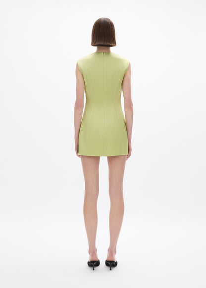 person wearing rachel gilbert Hallie Mini Dress in Lime