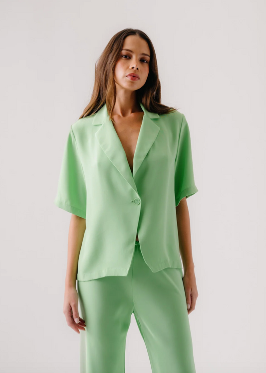 person wearing sablyn silk Kaleen Silk Collared Top in Lime